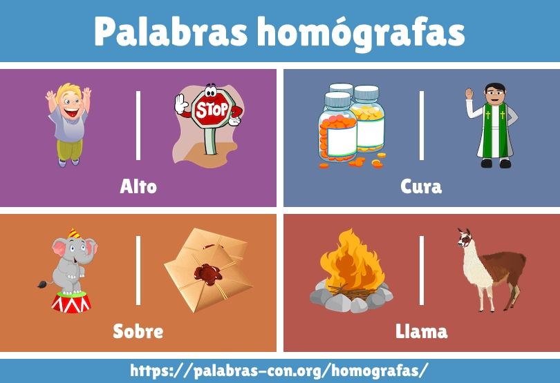 Imagen de ejemplos de palabras homógrafas con dibujos para niños.